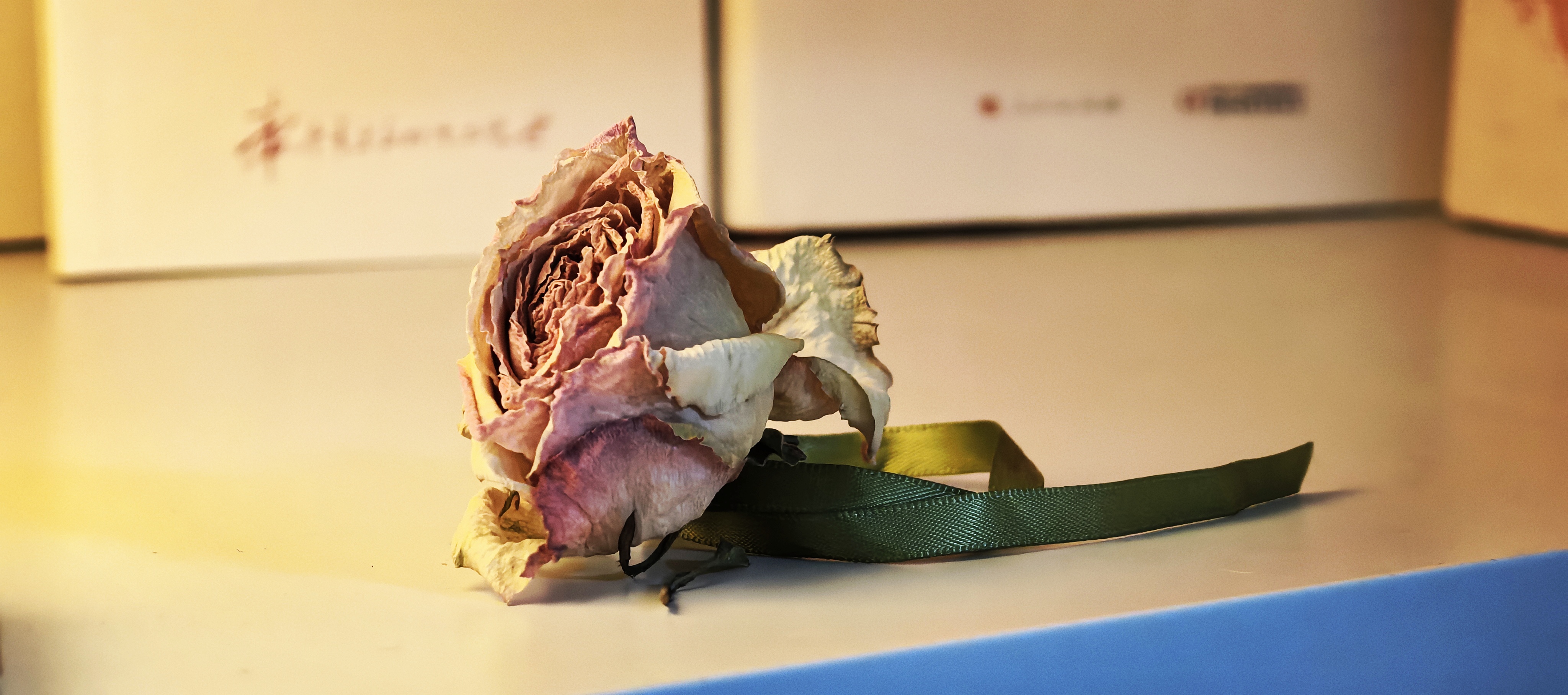 Dry flower