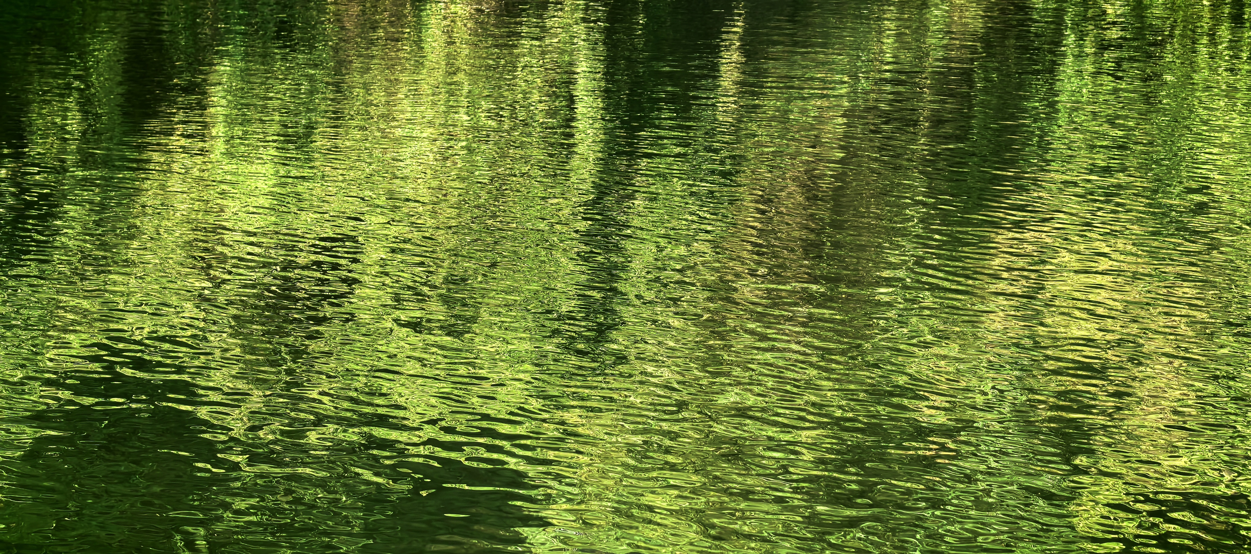 Green reflect