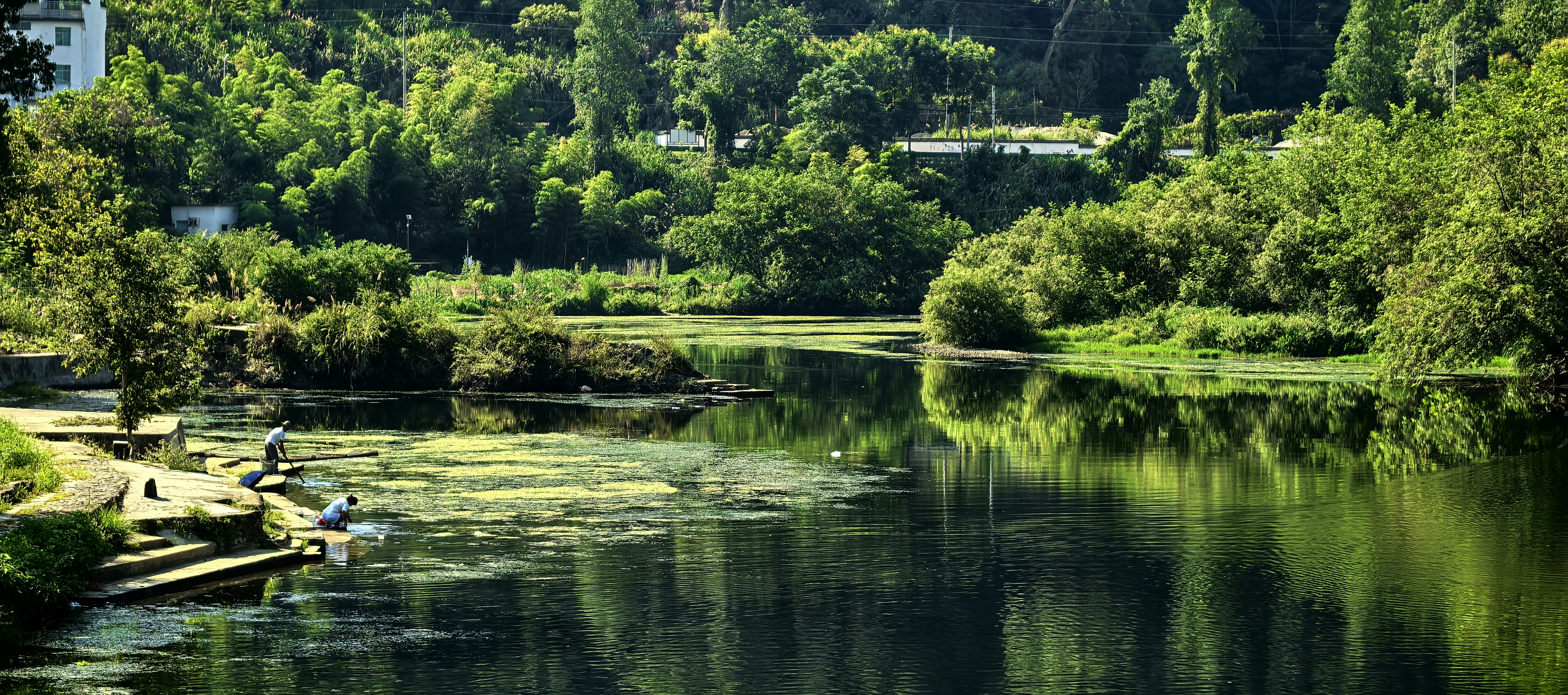Green water