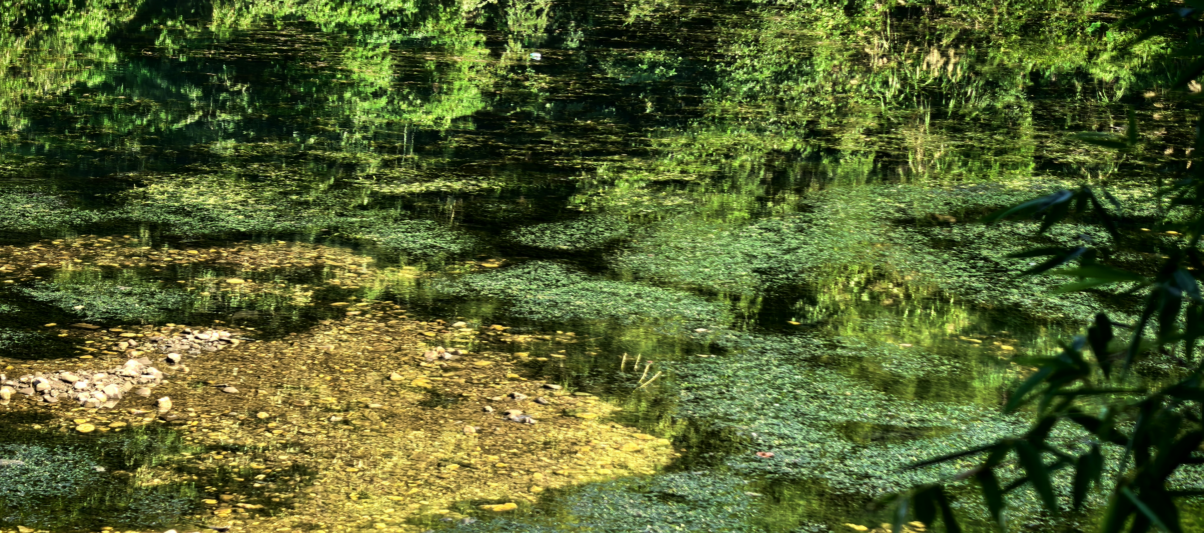 Green water
