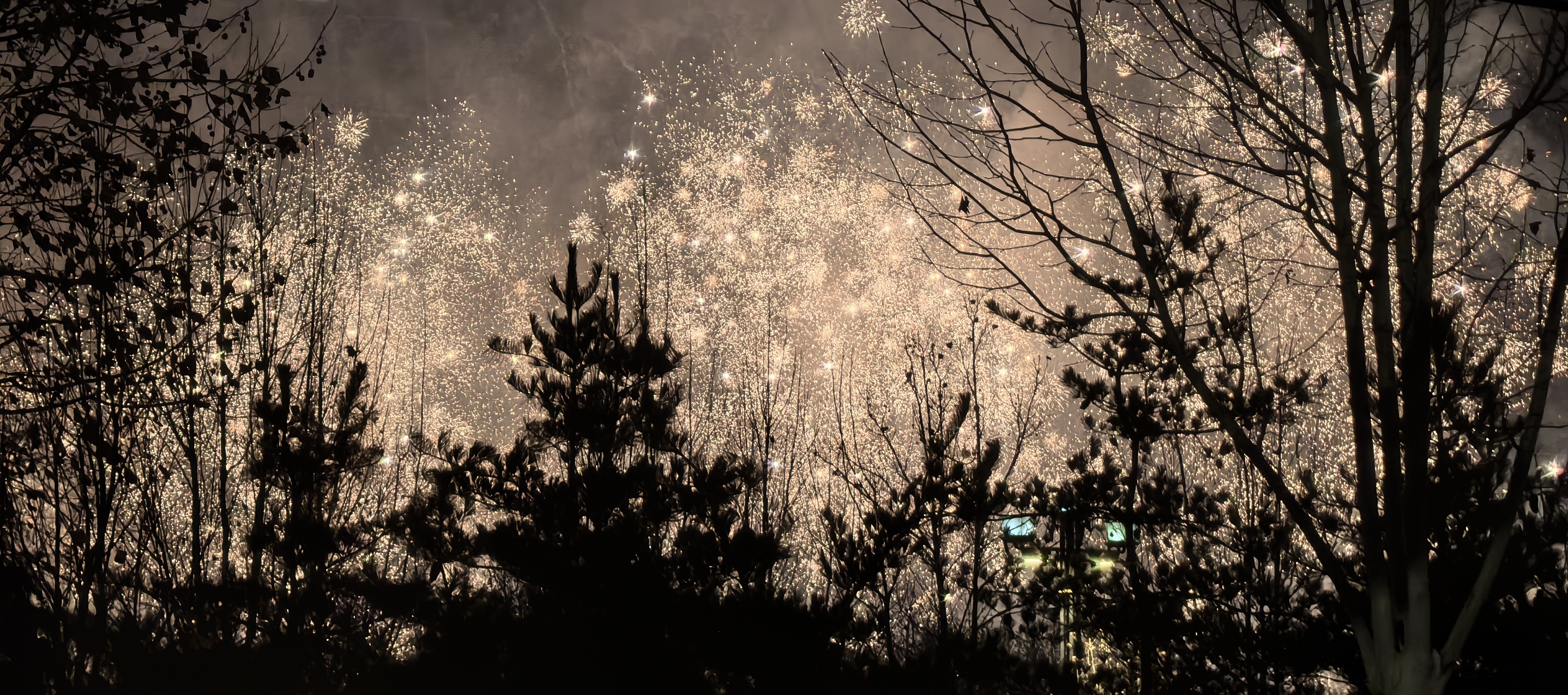 Firework